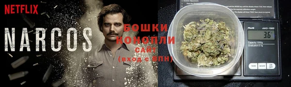 амф Видное