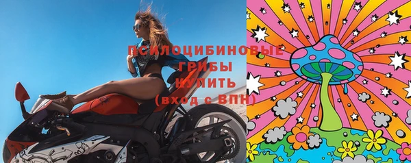 твердый Ветлуга