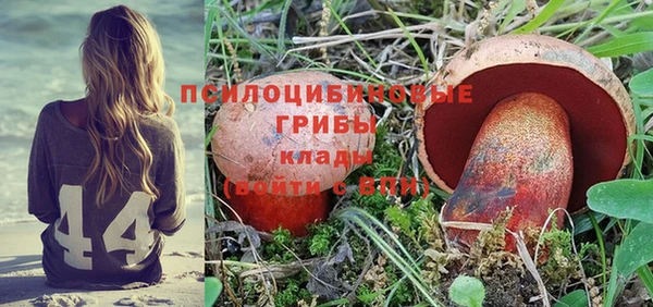твердый Ветлуга