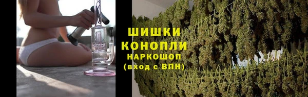 индика Абаза