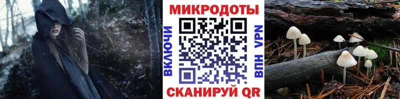 продажа наркотиков  дарк нет Telegram  Псилоцибиновые грибы Cubensis  Каменногорск 