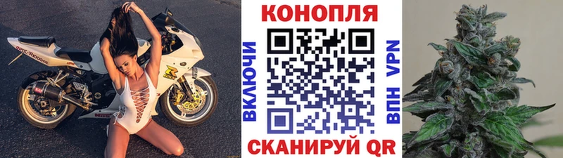 Конопля THC 21% Каменногорск